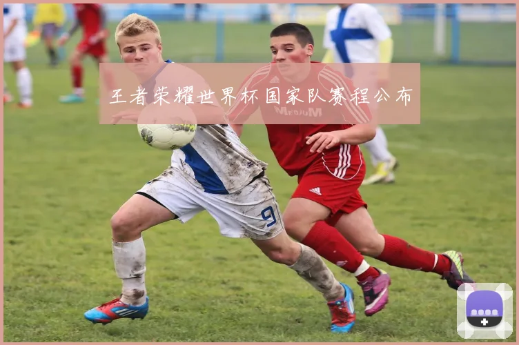 王者荣耀世界杯国家队赛程公布