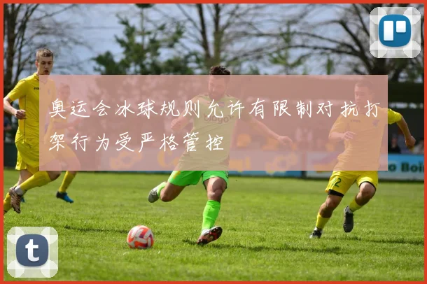 奥运会冰球规则允许有限制对抗打架行为受严格管控